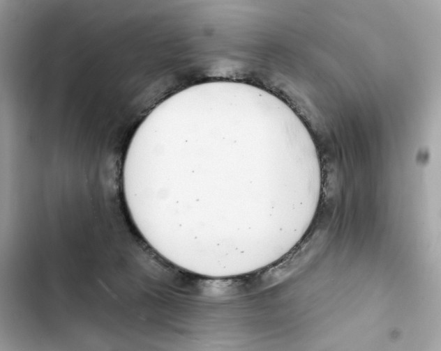 X0000102000273200808151454