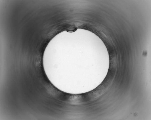 X0000102000274200808151454