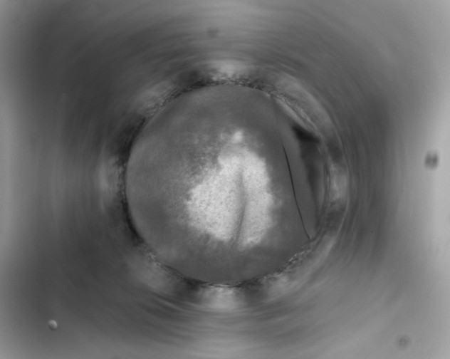 X0000102000276200808151454