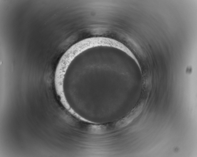 X0000102000277200808151454