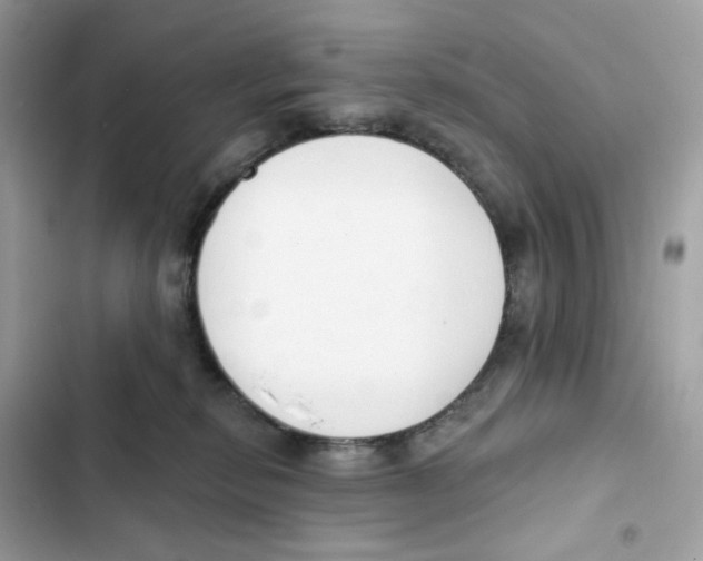 X0000102000278200808151454