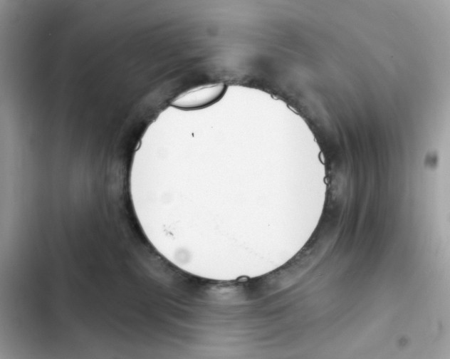 X0000102000283200808151454