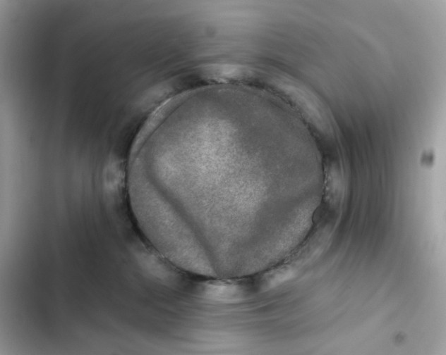 X0000102000284200808151454