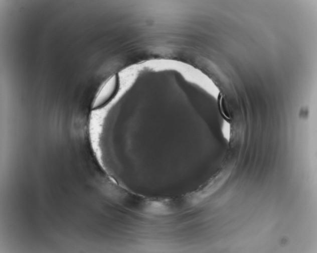 X0000102000285200808151454