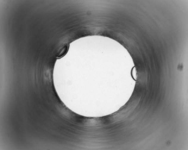 X0000102000286200808151454