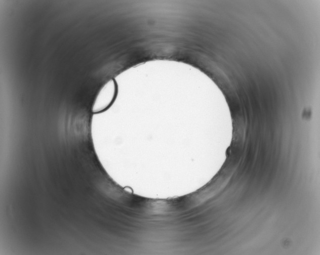 X0000102000287200808151454