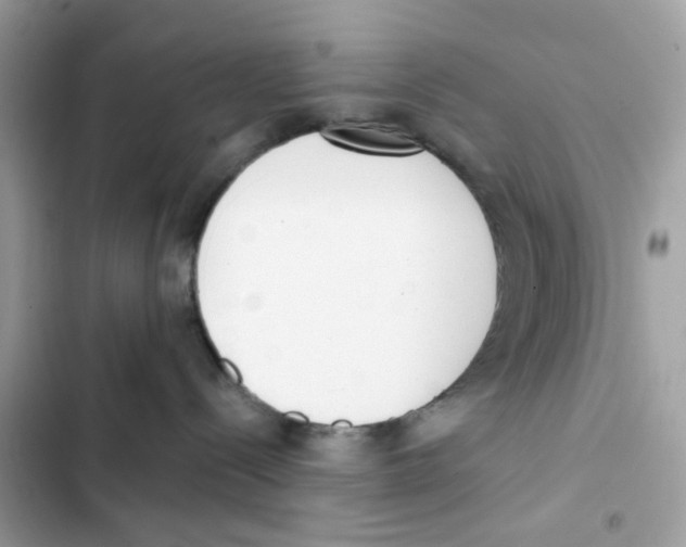 X0000102000288200808151454