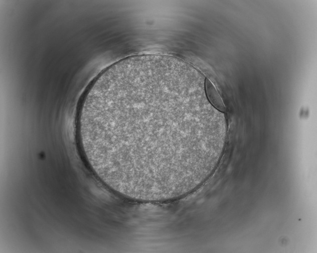 X0000102000290200808151454