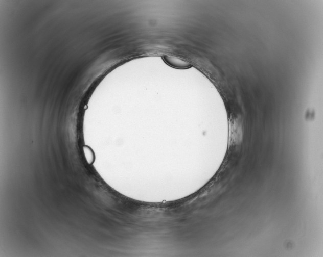 X0000102000291200808151454