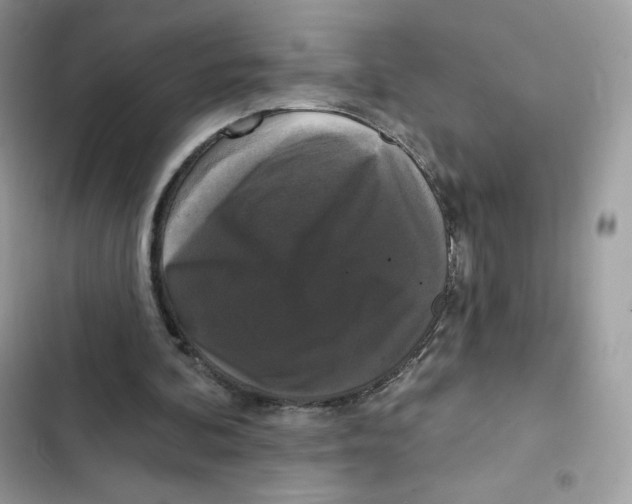 X0000102000292200808151454