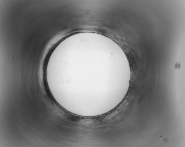 X0000102000294200808151454