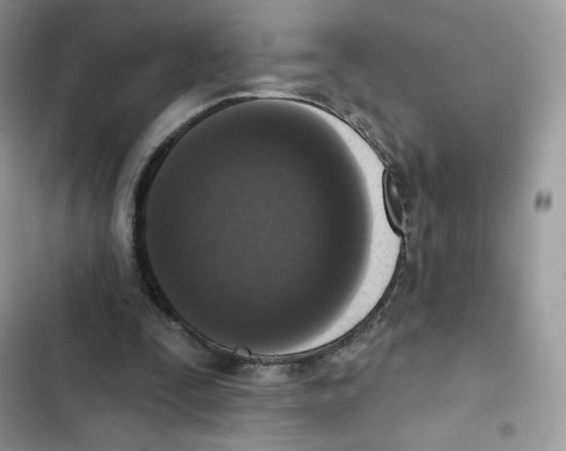 X0000102000295200808151454