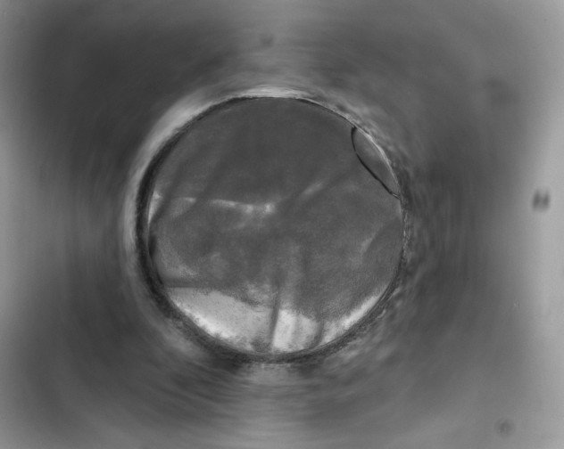 X0000102000296200808151454