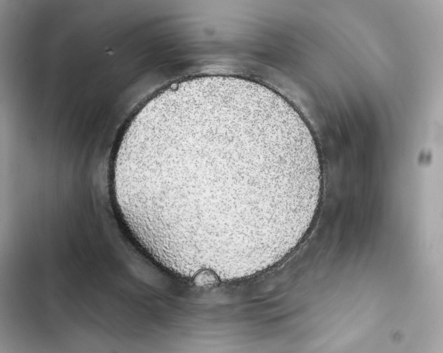 X0000102000297200808151454