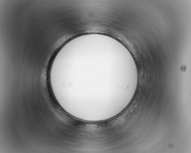 X0000102000298200808151454