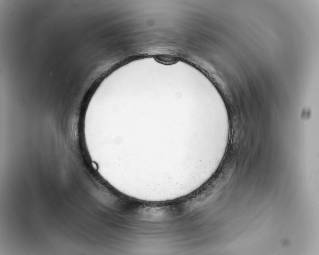 X0000102000299200808151453