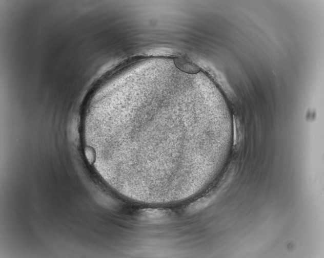 X0000102000300200808151453