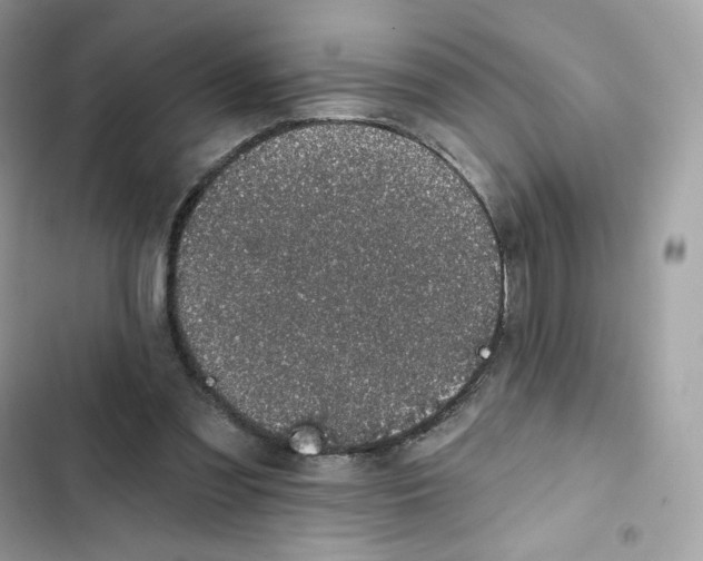 X0000102000301200808151453