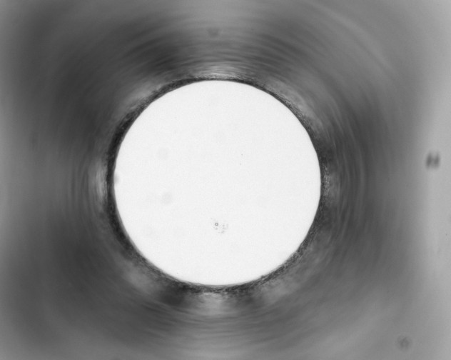 X0000102000302200808151453