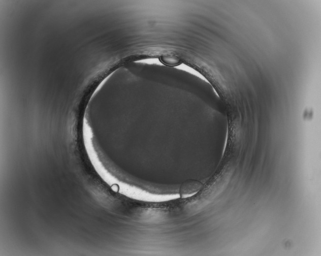 X0000102000303200808151453