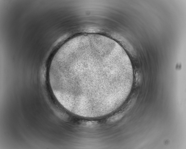 X0000102000304200808151453