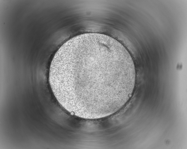 X0000102000305200808151453