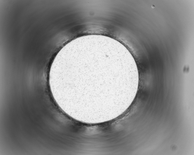 X0000102000309200808151453