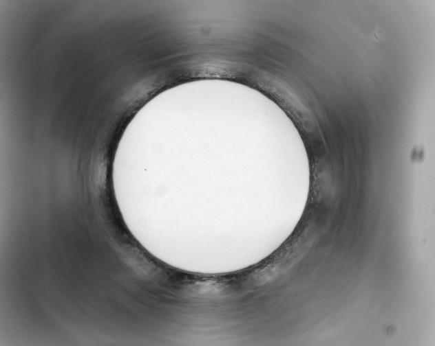 X0000102000310200808151453