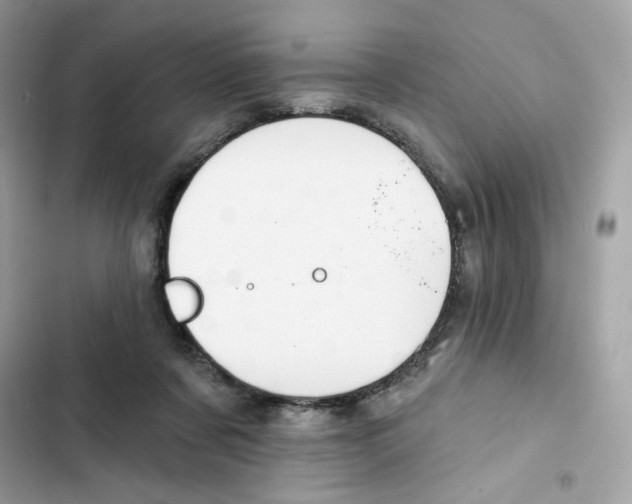 X0000102000311200808151453