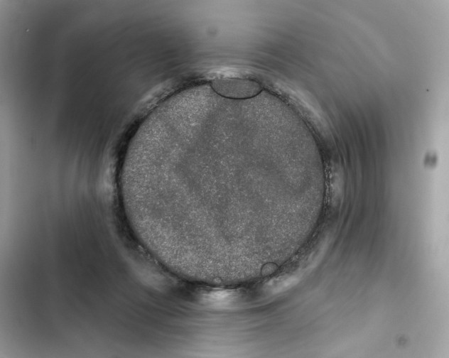 X0000102000312200808151453