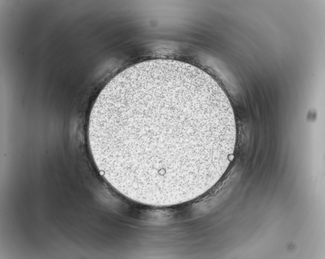 X0000102000313200808151453