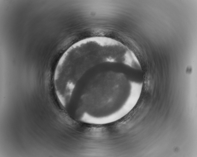 X0000102000314200808151453