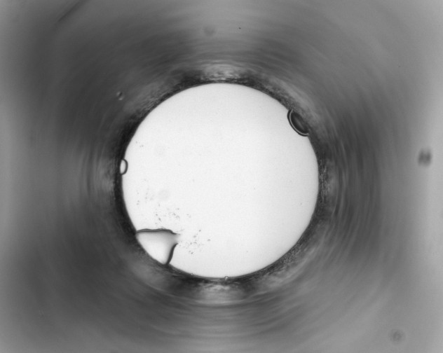 X0000102000315200808151453