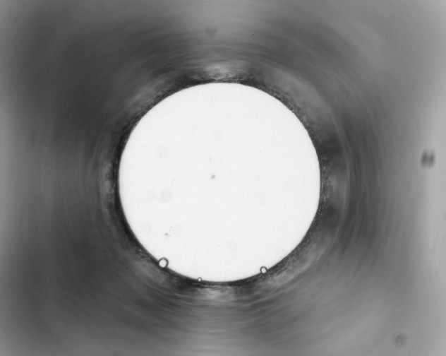 X0000102000317200808151453