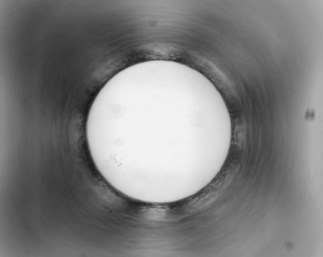 X0000102000318200808151453