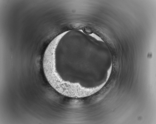 X0000102000319200808151453