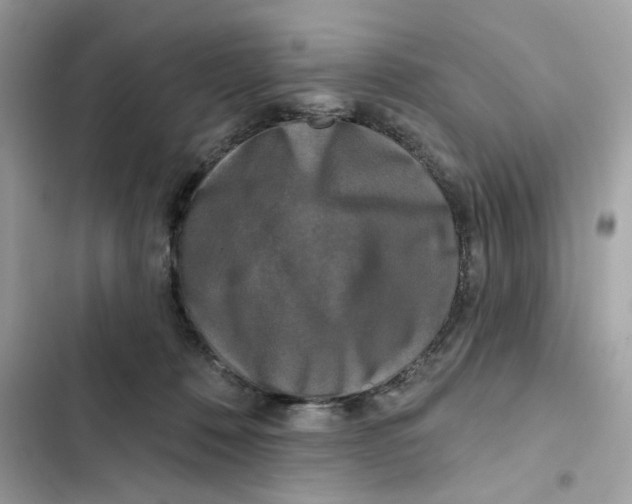 X0000102000320200808151453