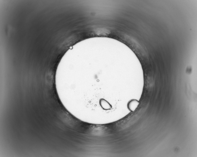 X0000102000321200808151453