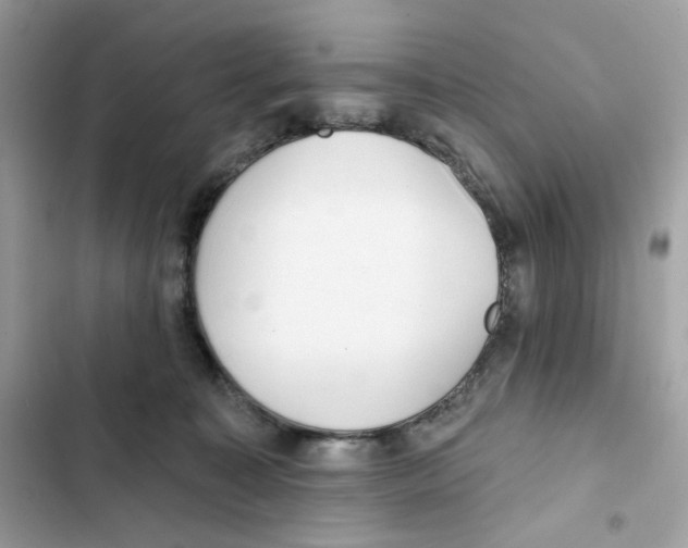 X0000102000323200808151453