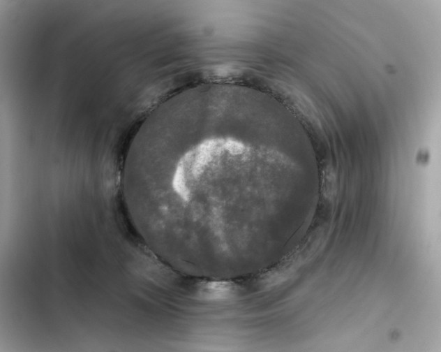 X0000102000324200808151453