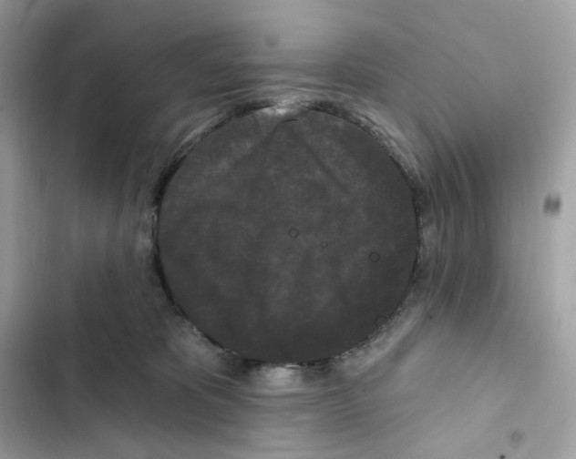 X0000102000325200808151453