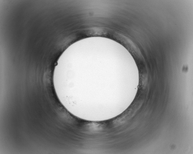 X0000102000326200808151453