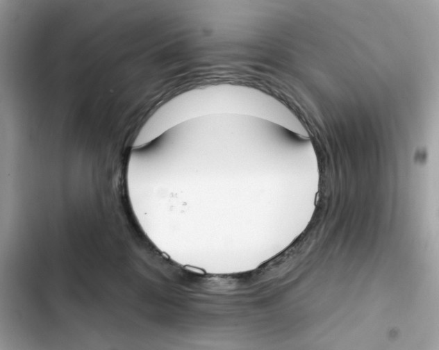 X0000102000328200808151453