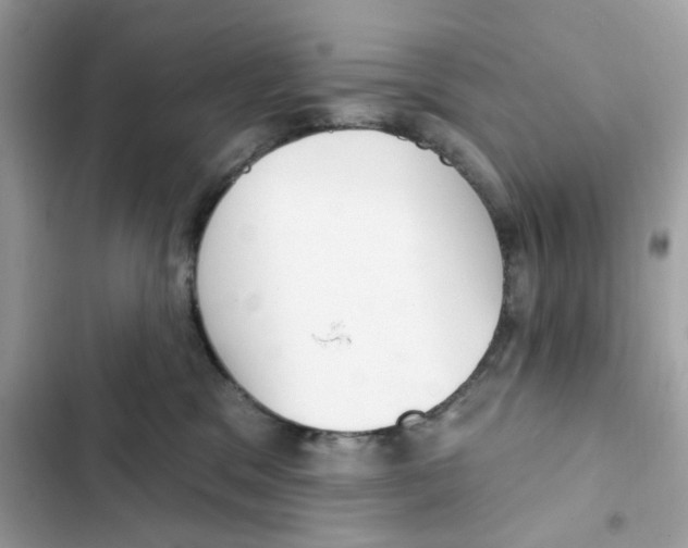 X0000102000329200808151453