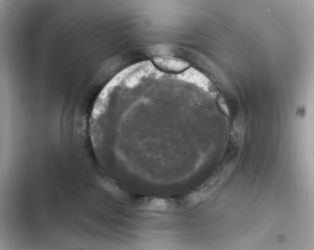 X0000102000330200808151453