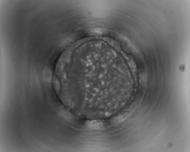 X0000102000331200808151453