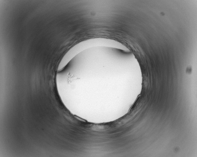 X0000102000332200808151453