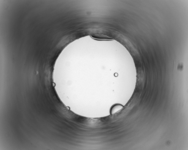 X0000102000333200808151453