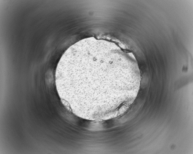 X0000102000335200808151453