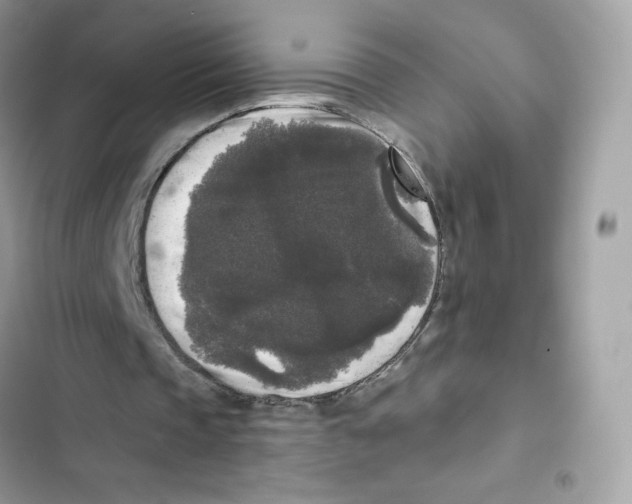 X0000102000337200808151452